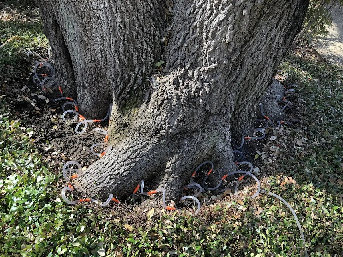 Detailed Shrub and Hedge Trimming job site in Cana