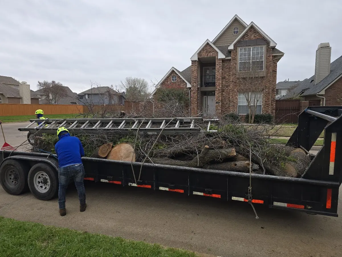 Expert Lot Clearing with proper safety equipment in Cana
